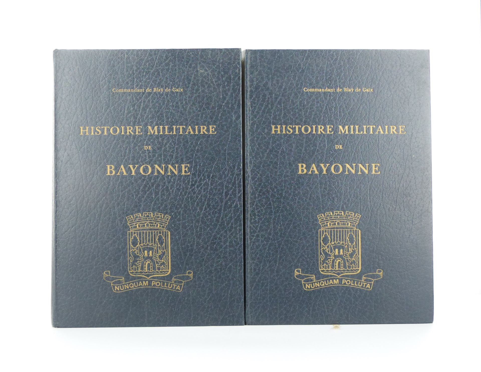 Histoire militaire de Bayonne - Tomes 1 et 2