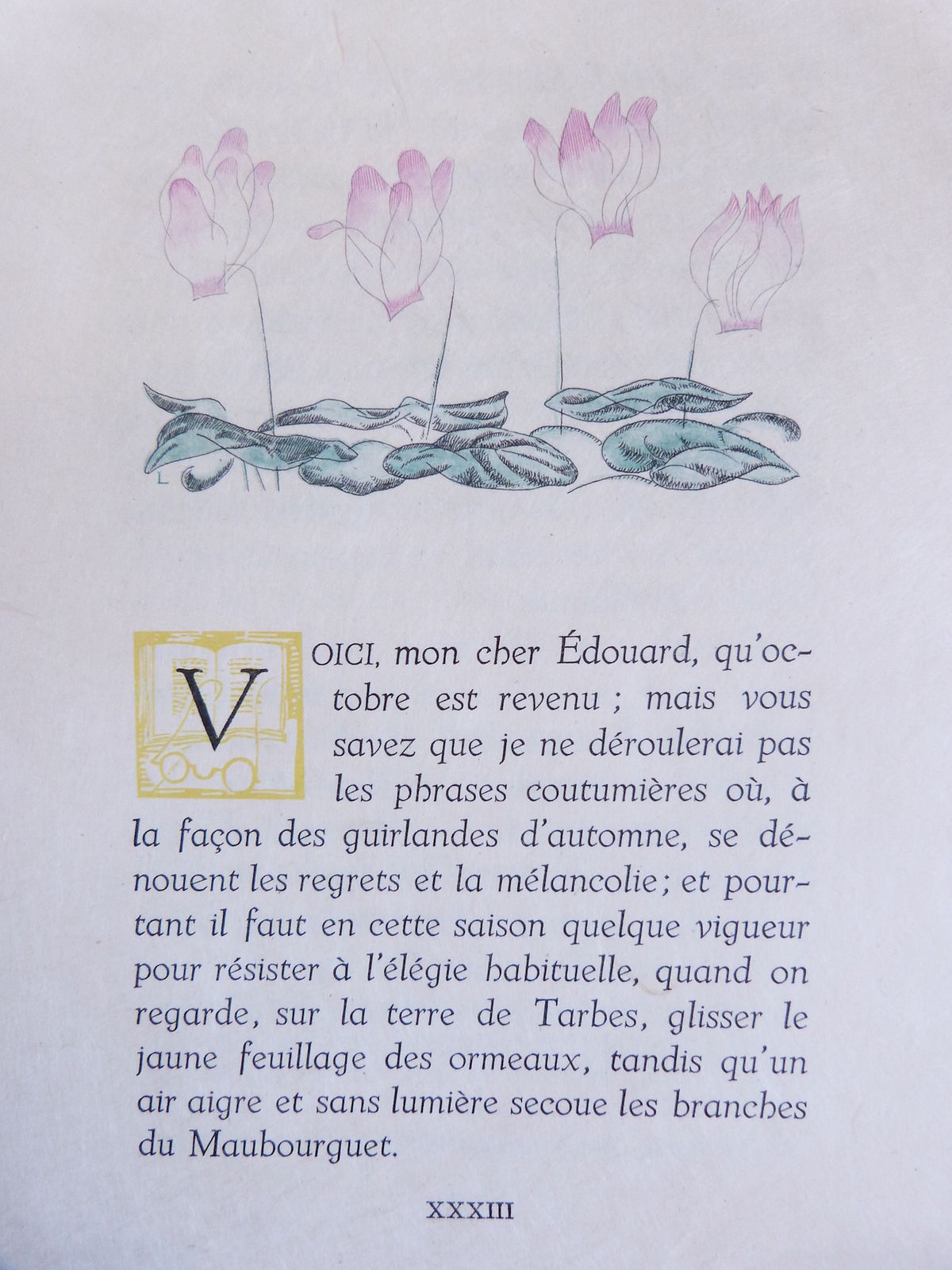 L’enlèvement sans clair de lune ou les propos et les Amours de M. Théodore Decalandre.