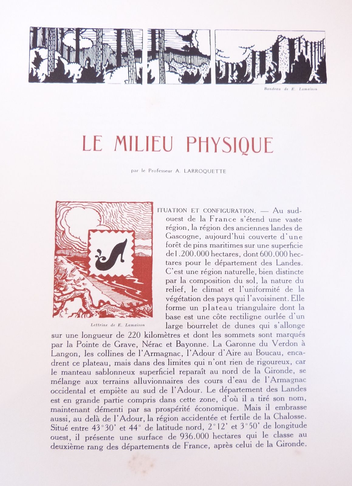 Nos Landes - Vision d'ensemble sur le Pays Landais