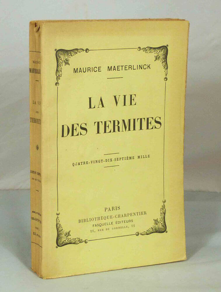 La vie des termites