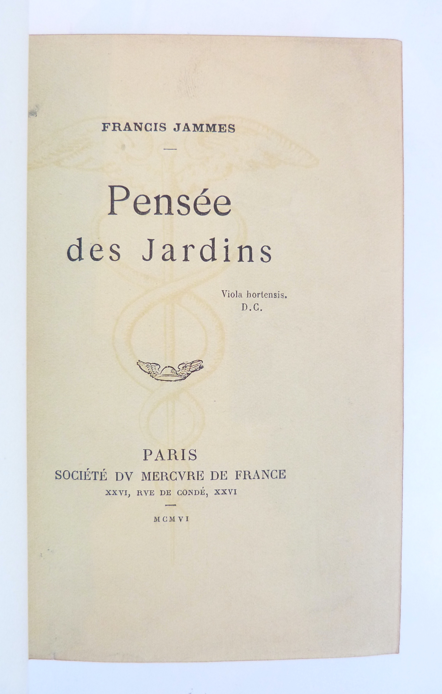 Pensée des Jardins