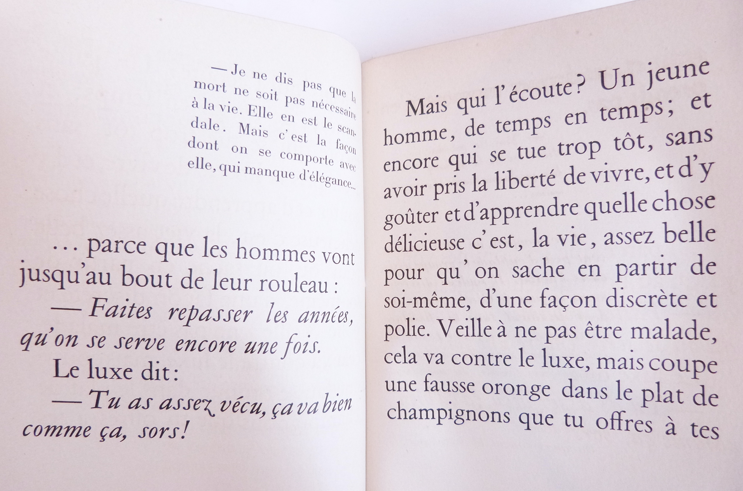 La Bête à bon dieu, dialogues à bâtons rompus sur le luxe et sur l'homme